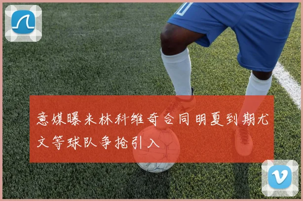 意媒曝米林科维奇合同明夏到期尤文等球队争抢引入