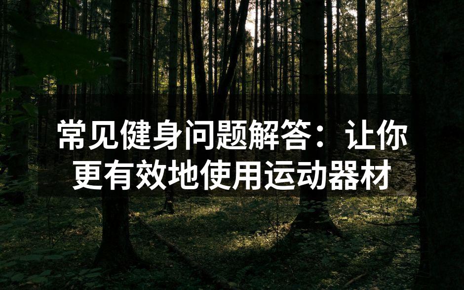 健身器材的多样选择